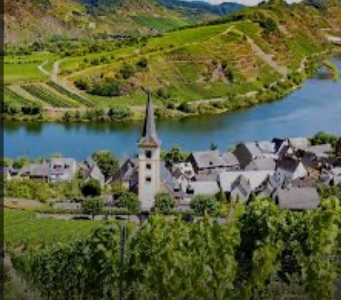 Ferienwohnung Eifel Mosel Hunsrueck Bergweiler Esterno foto